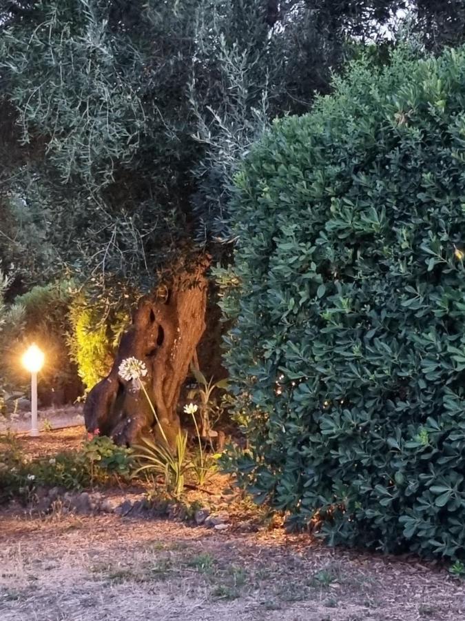 Cozy Corfu Bungalow 5 Minutes To Aqualand Agios Ioannis  ภายนอก รูปภาพ