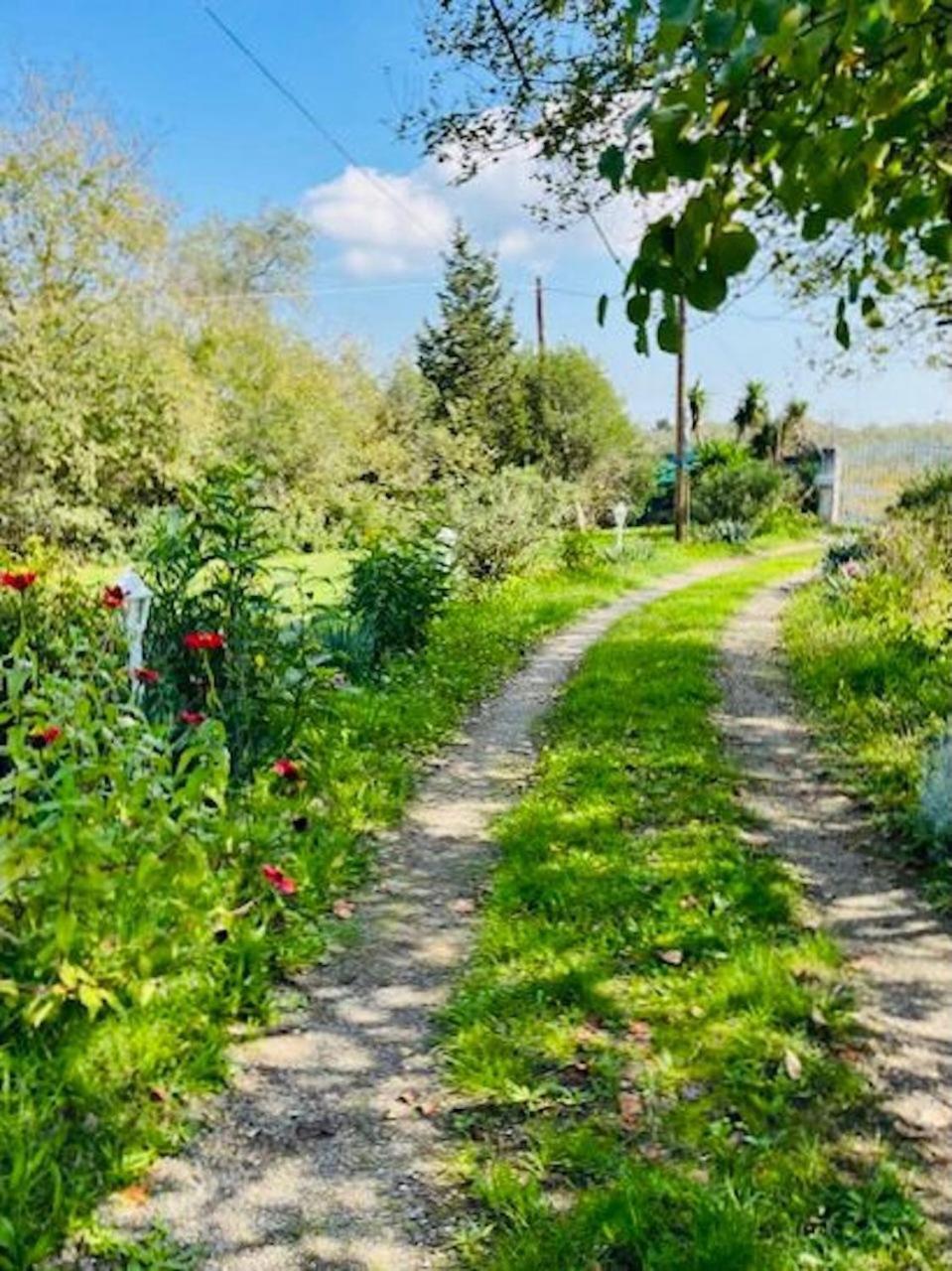 Cozy Corfu Bungalow 5 Minutes To Aqualand Agios Ioannis  ภายนอก รูปภาพ